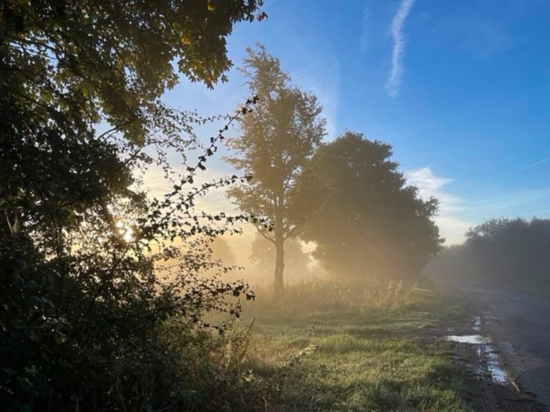 Everthorpe Forum AGM